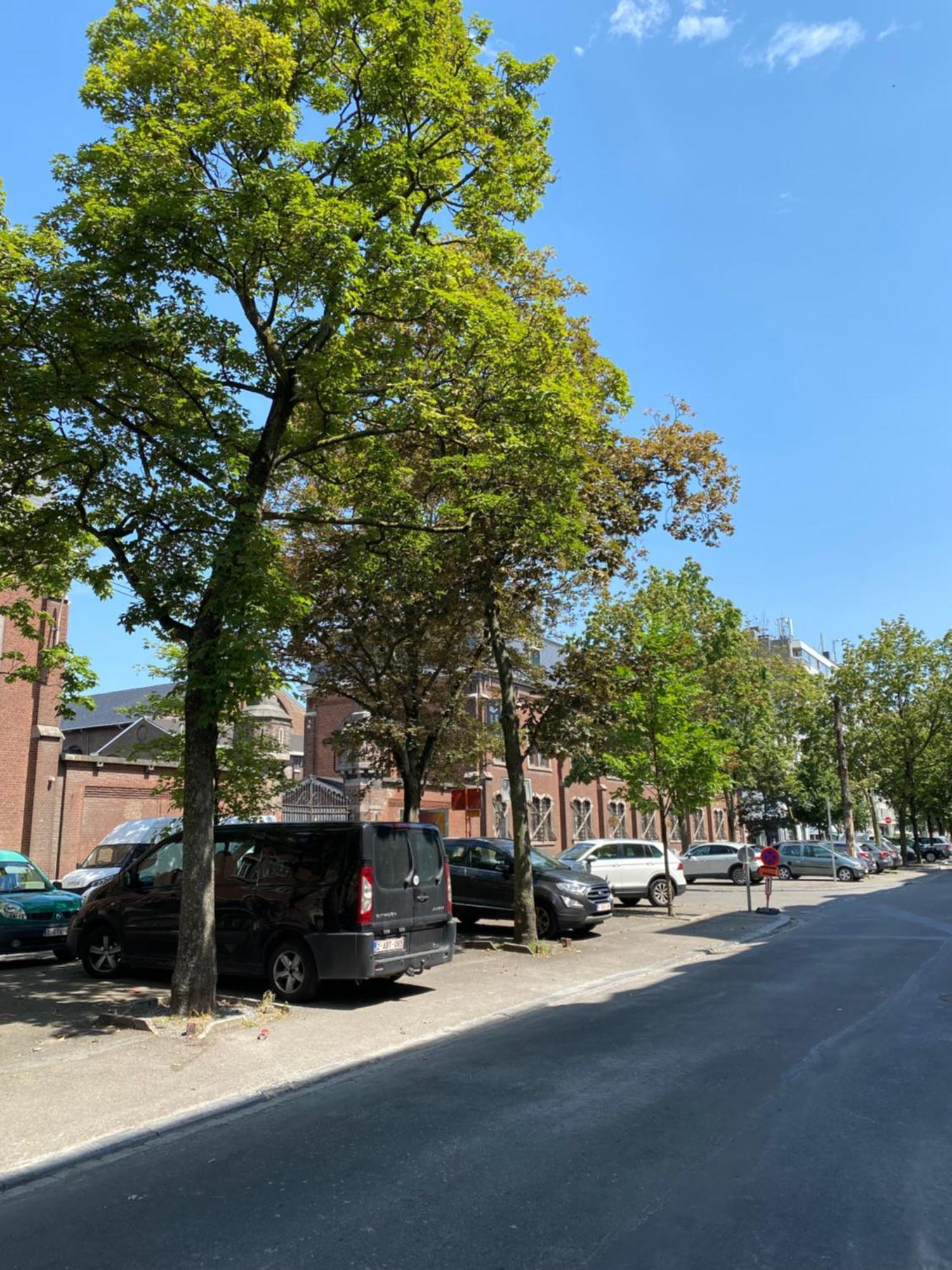 Sweet Home Liège Exterior foto